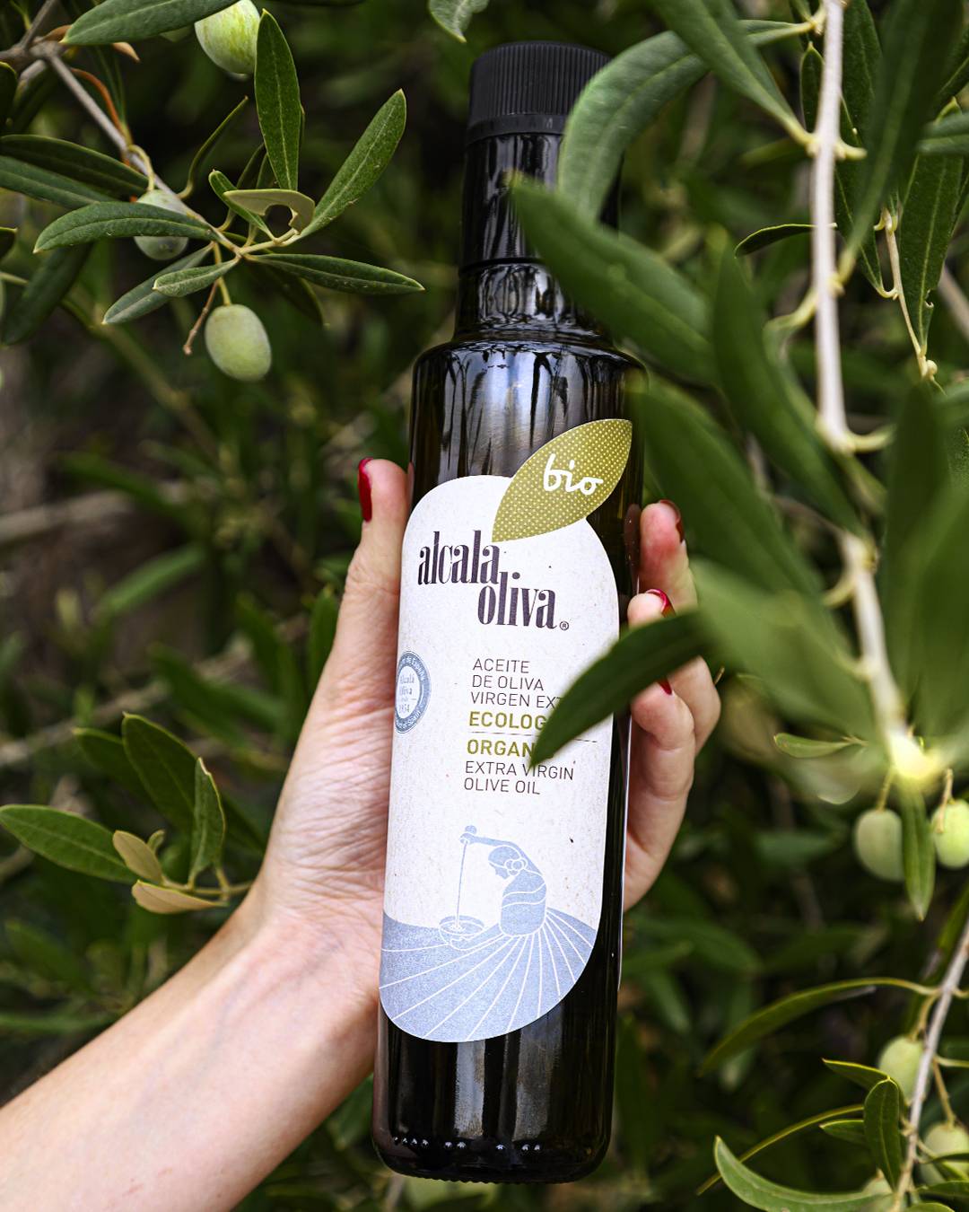 Aceite de Oliva Virgen Extra Ecológico 500ml - Imagen 2
